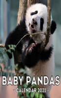 Baby Pandas 2021 Calendar