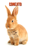 Conejito