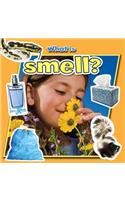 What Is Smell?