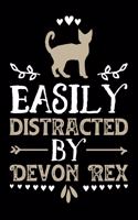 Easily Distracted By Devon Rex