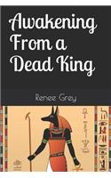 Awakening From a Dead King