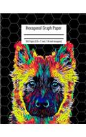 Hexagonal Graph Paper