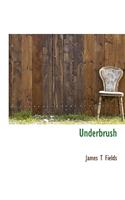 Underbrush