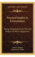Practical Studies in Fermentation