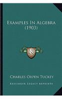 Examples in Algebra (1903)