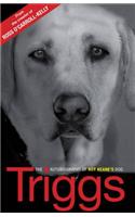 Triggs: the Autobiography of Roy Keane's Dog