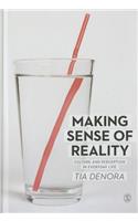 Making Sense of Reality