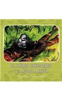 Pájaro Carpintero y el Águila Arpía