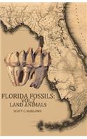 Florida Fossils: Land Animals