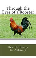 Through the Eyes of a Rooster