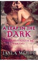 A Leap in the Dark