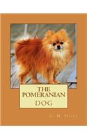 Pomeranian Dog