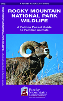 Rocky Mountain National Park Wildlife