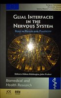 Glial Interfaces in the Nervous System: Role in Repair and Plasticity(v. 47 Biomedical and Health Research)