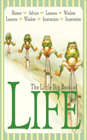 Little Big Book of Life