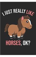 I Just Really Like Horses, OK?