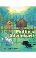 Mollie's Adventure