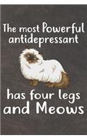 The Most Antidepressant Has Four Legs and Meows Notebook Journal