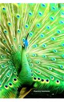 Peacock Notebook