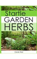 Startle Garden Herbs