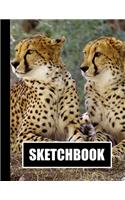 Sketchbook
