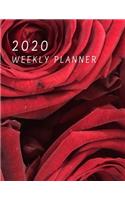 2020 Weekly planner: January 1, 2020 - December 31, 2020 calendar Red Rose Cover