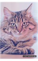 Cat Notepad