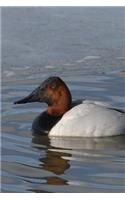 Canvasback Duck Journal (Aythyra Valisineria): 150 page lined notebook/diary
