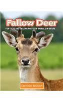 Fallow Deer: Fun Facts and Amazing Photos of Animals in Nature