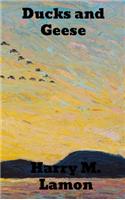 Ducks and Geese