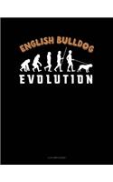 English Bulldog Evolution