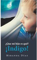 ¿Que Mi Hijo Es Qué? ¡Indigo!