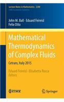 Mathematical Thermodynamics of Complex Fluids