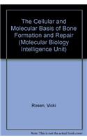 The Cellular and Molecular Basis of Bone Formation and Repair