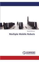 Multiple Mobile Robots