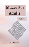 Mazes for Adults