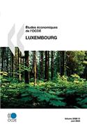 Aetudes Economiques De L'OCDE: Luxembourg 2008