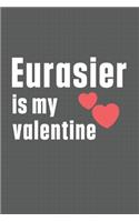 Eurasier is my valentine: For Eurasier Dog Fans