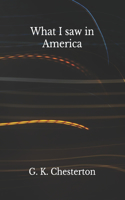 What I saw in America