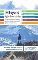 Beyond Agile Boundaries