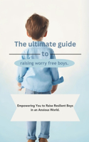 The ultimate guide to raising worry free boys.: Empowering You to Raise Resilient Boys in an Anxious World.(2 Ultimate Guides)