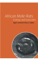 African Mole-Rats