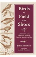 Birds of Field and Shore