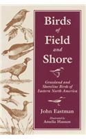 Birds of Field & Shore: Grassland and Shoreline Birds of Eastern North America