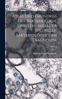 Atlas Und Grundriss Der Bakteriologie Und Lehrbuch Der Speziellen Bakteriologischen Diagnostik; Volume 2
