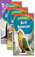 Animal Behavior (Set)