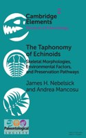 Taphonomy of Echinoids