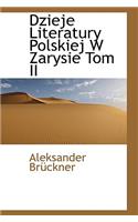 Dzieje Literatury Polskiej W Zarysie Tom II