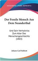 Der Fossile Mensch Aus Dem Neanderthal