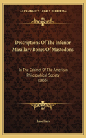 Descriptions Of The Inferior Maxillary Bones Of Mastodons